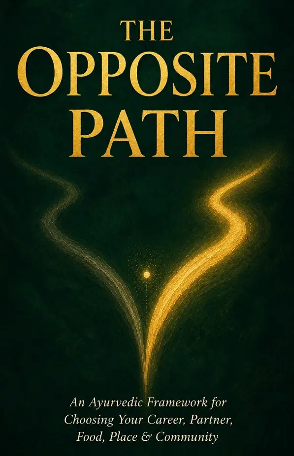 The Opposite Path cover